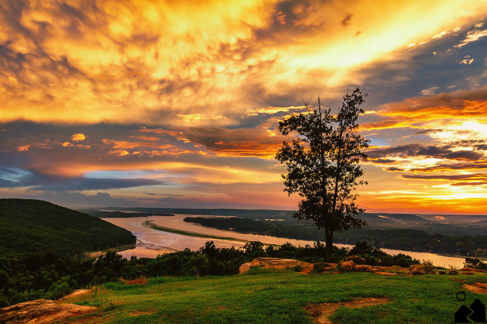 Sunset over the Tennessee River from Weathington Park in Section, Alabama, with a lone tree silhouetted against golden clouds